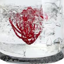 Red coiled object submerged in clear bubbling water inside a glass container