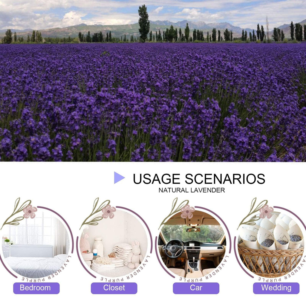 Field of lavender flowers with mountains in the background, and four circular insets showing usage scenarios: bedroom, closet, car, and wedding.