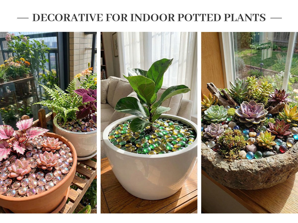 Three potted plants decorated with colorful glass marbles as vase fillers. One pot has pink marbles and succulents, another has green and clear marbles with a fiddle leaf fig, and a third has mixed marbles with succulents.