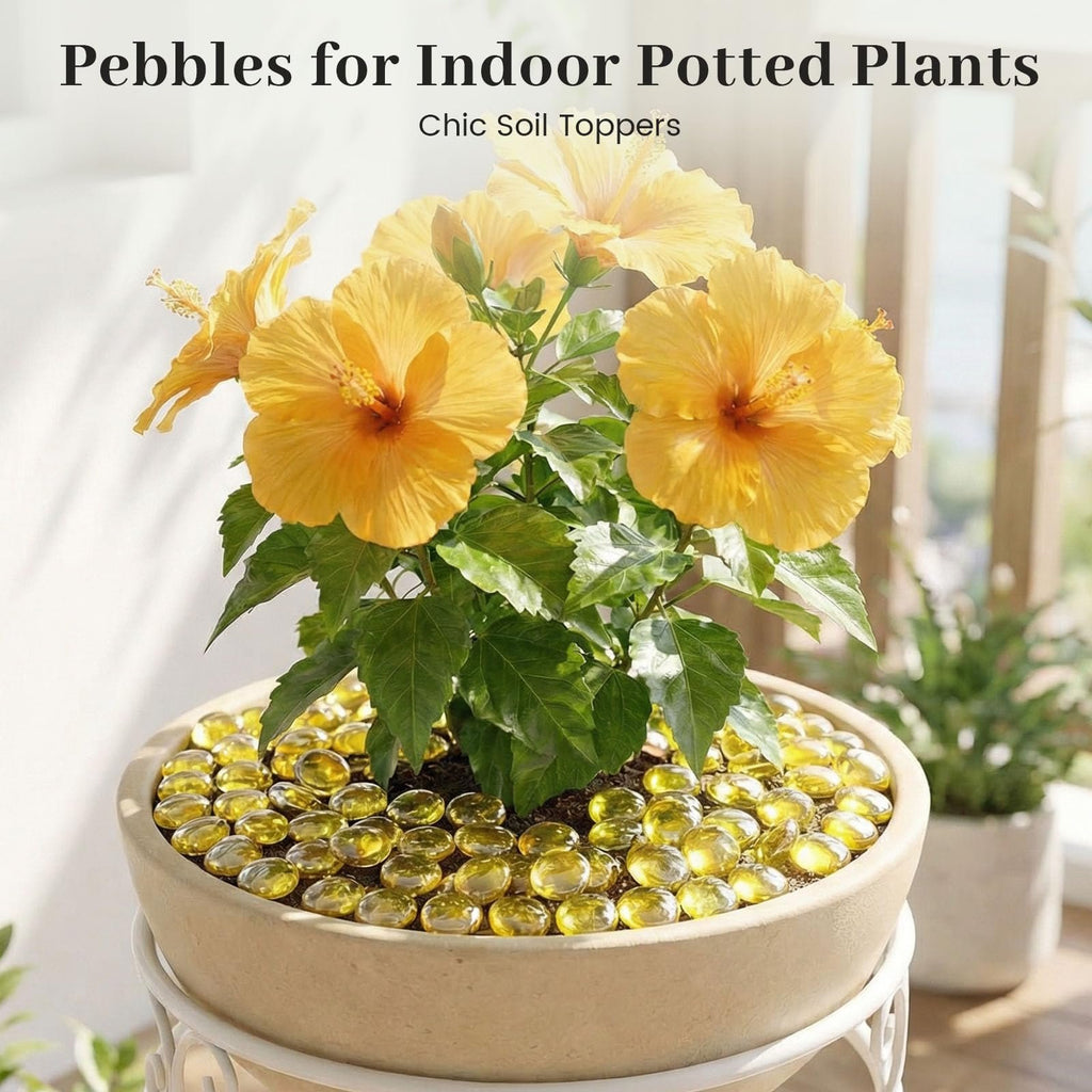 Yellow hibiscus plant with amber glass pebbles as soil toppers in a beige pot on a white stand.