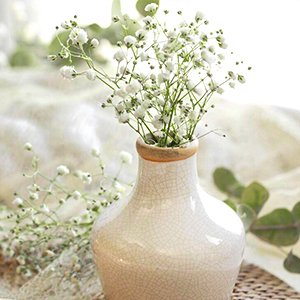 White ceramic vase filled with artificial baby's breath flowers, soft lighting.