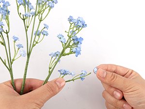 Hands arranging blue artificial baby's breath flowers with flexible stems against a white background.