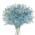 Bouquet of blue artificial baby's breath flowers in a clear glass vase against a white background.