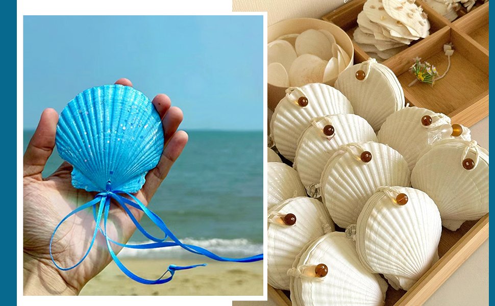 Hand holding a blue scallop shell with ribbon; pile of white scallop shells in a wooden tray