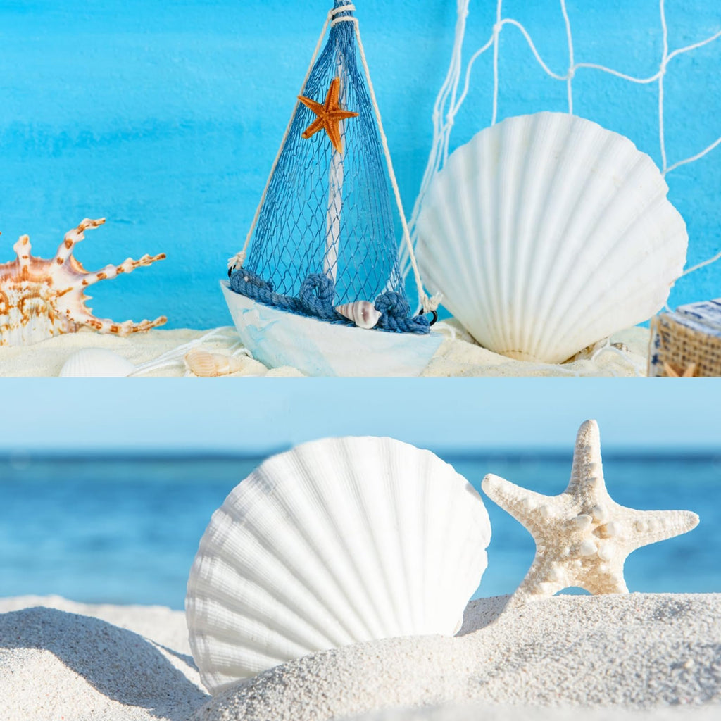 Two decorative beach scenes with seashells, a toy sailboat, and a starfish on sand against a blue background and ocean backdrop.