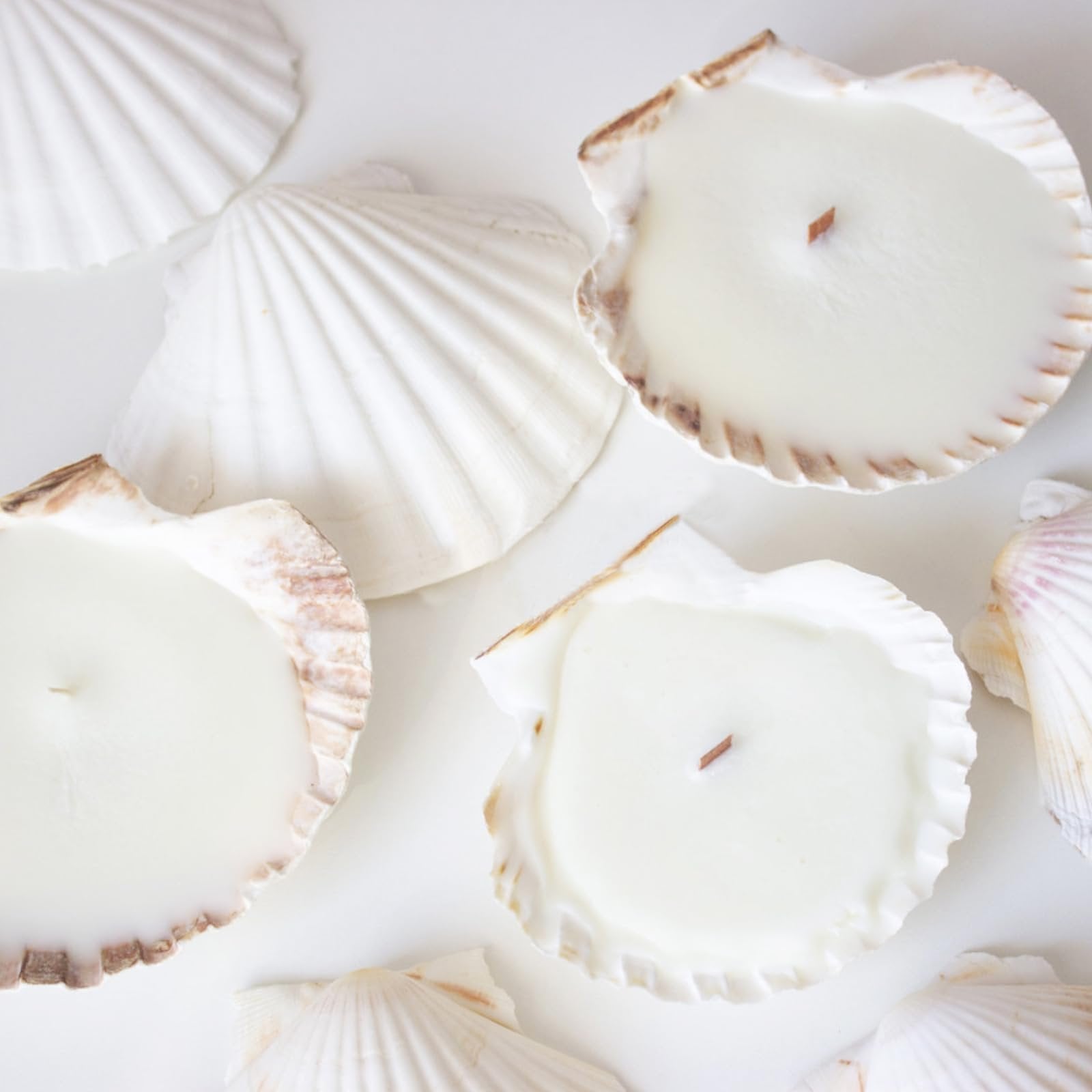 Four white scallop shell candles arranged with loose shells on a white surface.