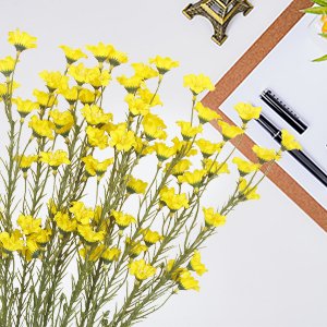 Yellow wildflowers with stems arranged on a white surface next to a clipboard and pens.