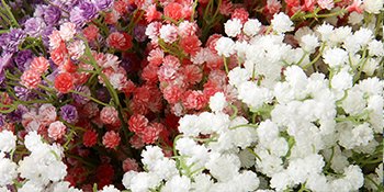 Close-up of artificial baby's breath flowers in white, pink, and purple hues, with green stems.