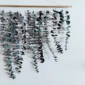 Dried eucalyptus stems hanging from a wooden dowel against a white wall.