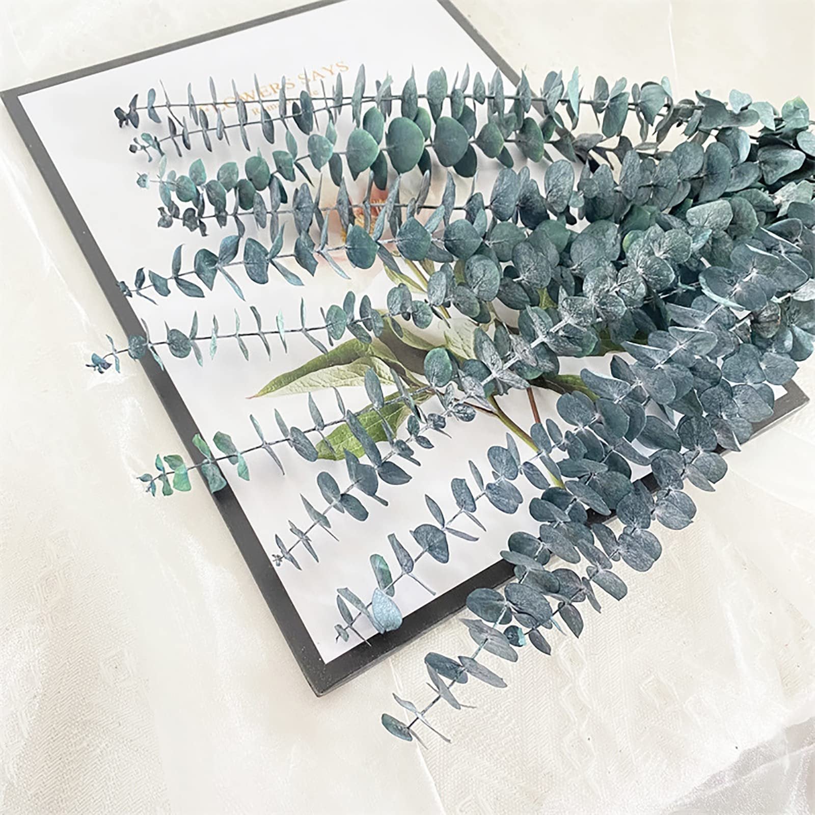 Dried eucalyptus stems with small oval leaves arranged on a white surface and a dark gray mat.