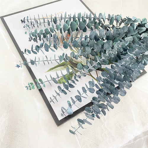 Dried eucalyptus stems with small oval leaves arranged on a white surface and a dark gray mat.