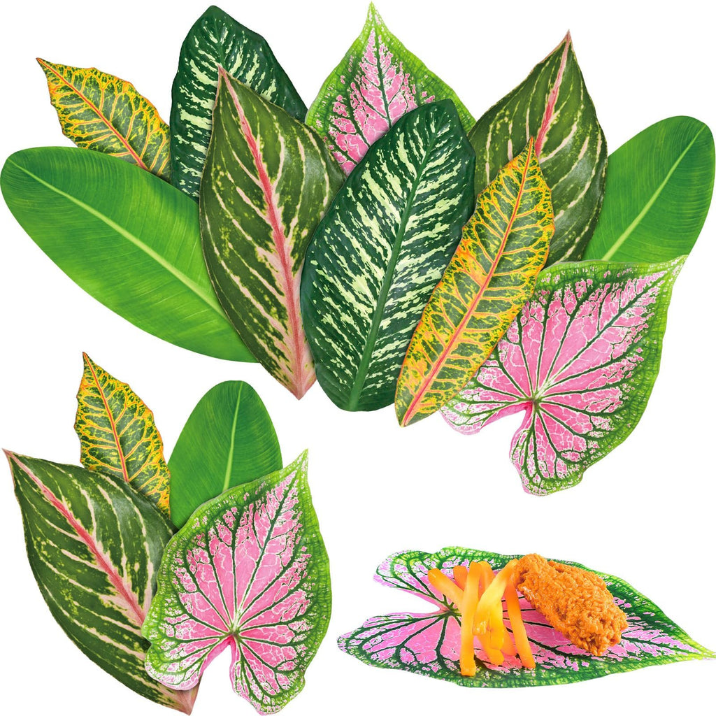 Assortment of tropical leaves and a food serving on a leaf, white background