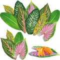 Assortment of tropical leaves and a food serving on a leaf, white background