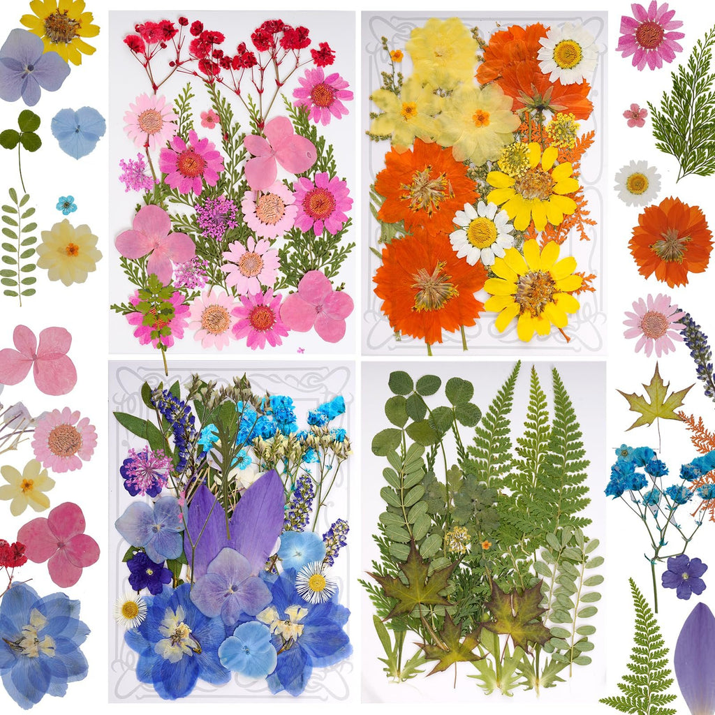 Collage of assorted dried pressed flowers and green leaves in various colors and shapes, arranged on white backgrounds.