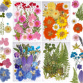 Collage of assorted dried pressed flowers and green leaves in various colors and shapes, arranged on white backgrounds.
