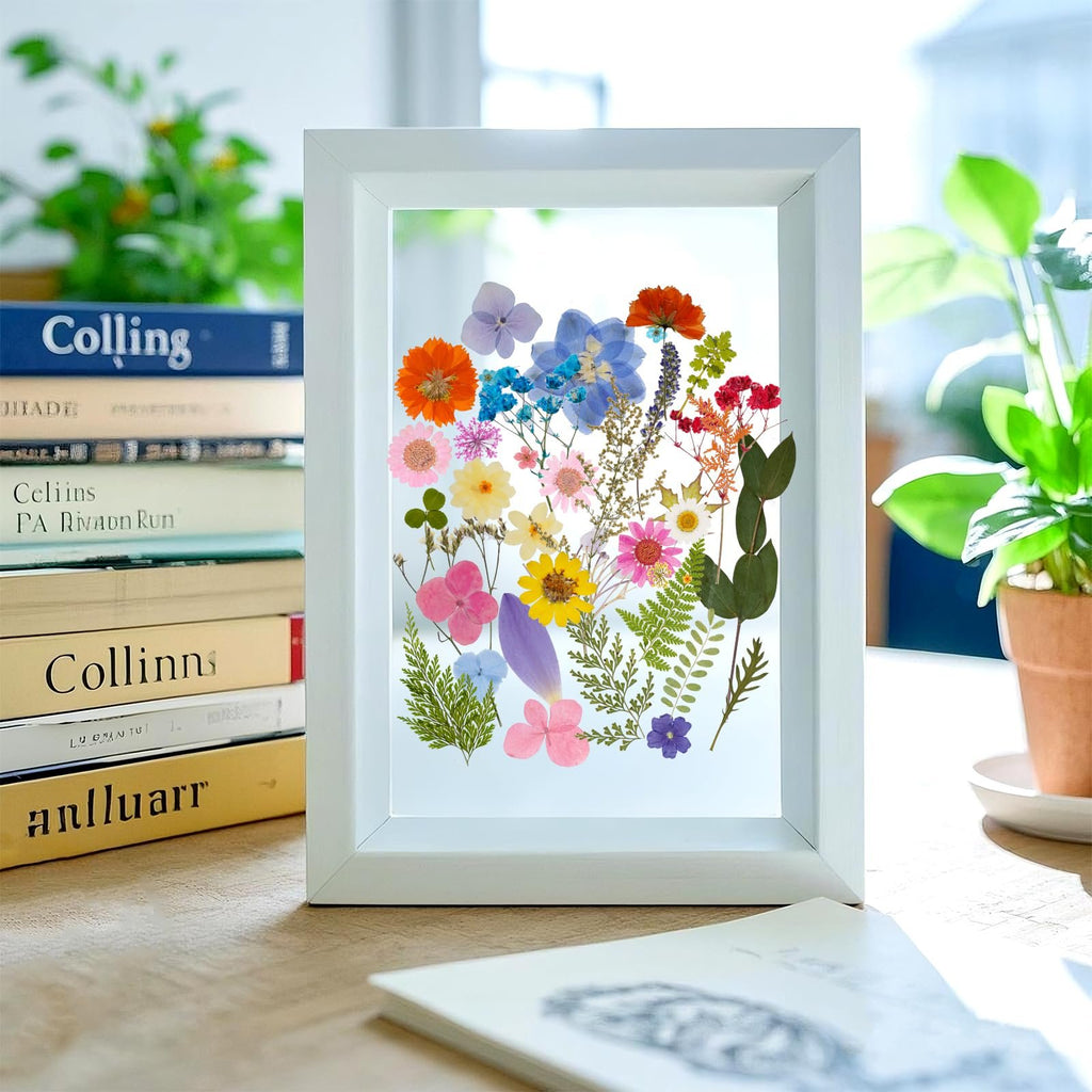 White frame displaying a colorful assortment of dried pressed flowers and green leaves on a white background, with books and a potted plant visible to the side.