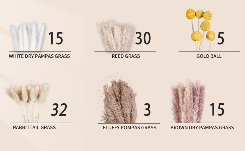 Six types of dried grasses and flowers displayed in a grid with counts: white dry pampas grass (15), reed grass (30), gold ball (5), rabbittail grass (32), fluffy pampas grass (3), and brown dry pampas grass (15).