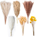 Assortment of dried pampas grass and craspedia flowers on a white background