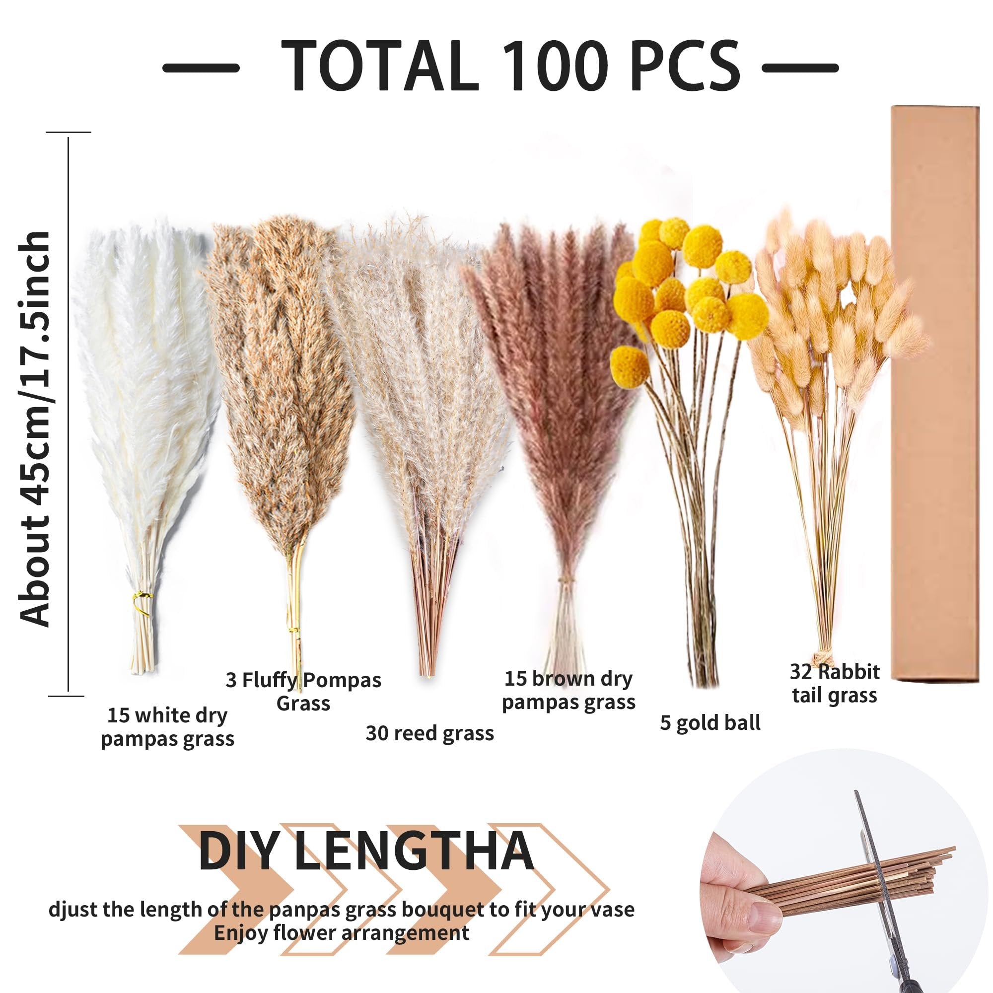 Assortment of dried pampas grass, rabbit tail grass, and gold balls for home decor, displayed with quantity and size information.