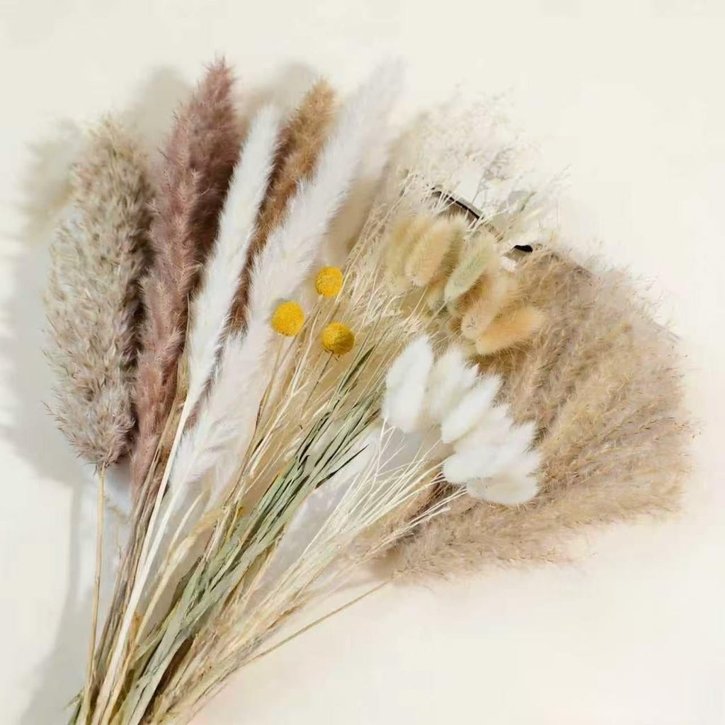 Assortment of natural dried pampas grass and bunny tails in various neutral tones, with small yellow flowers.