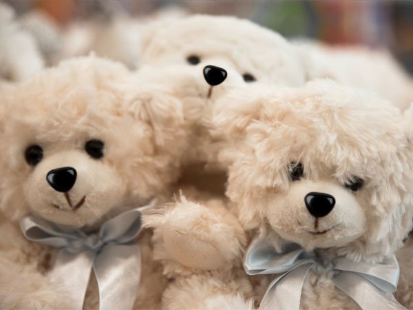 Three cream-colored teddy bears with blue bows, close-up view