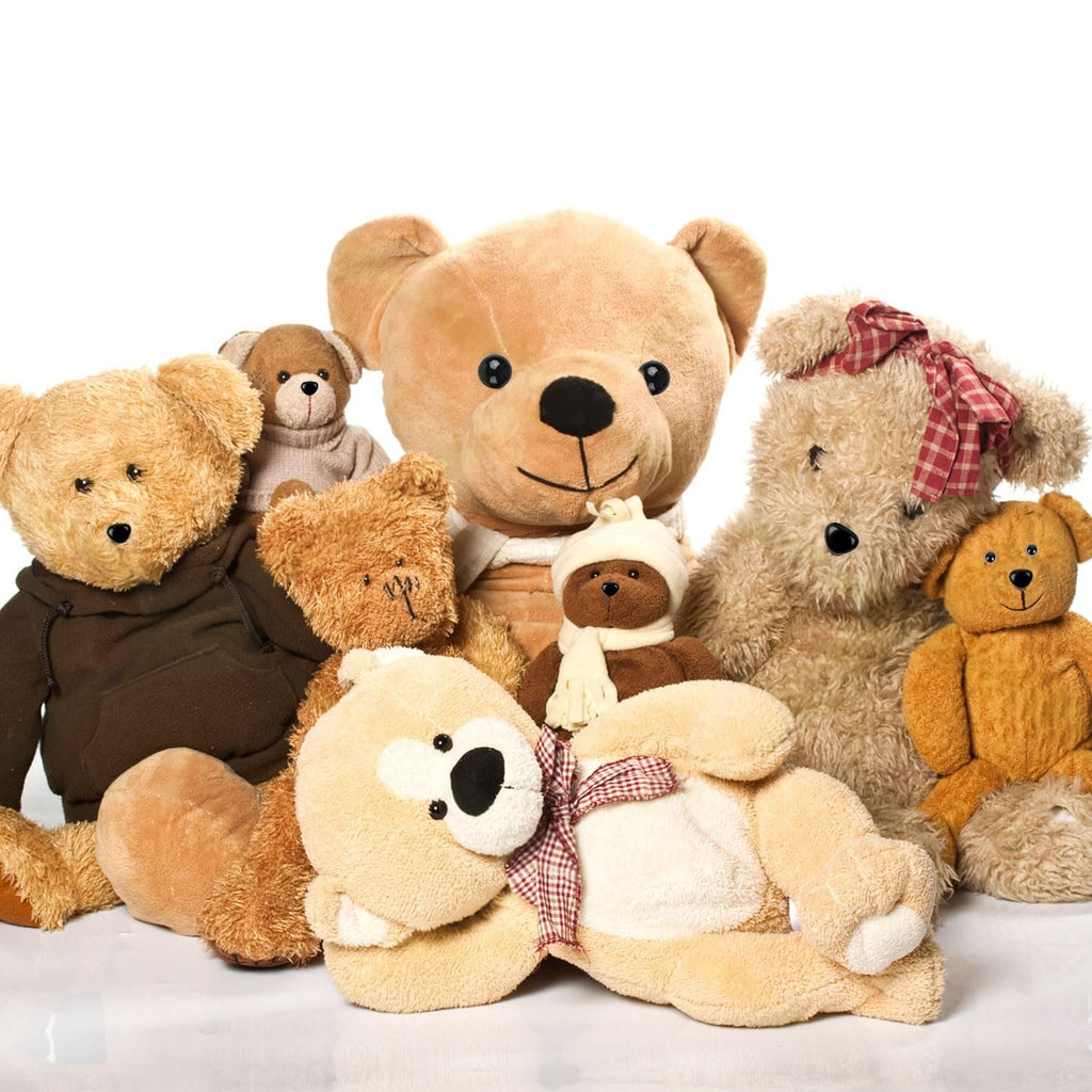 Assortment of plush teddy bears of various sizes and colors arranged on a white background.