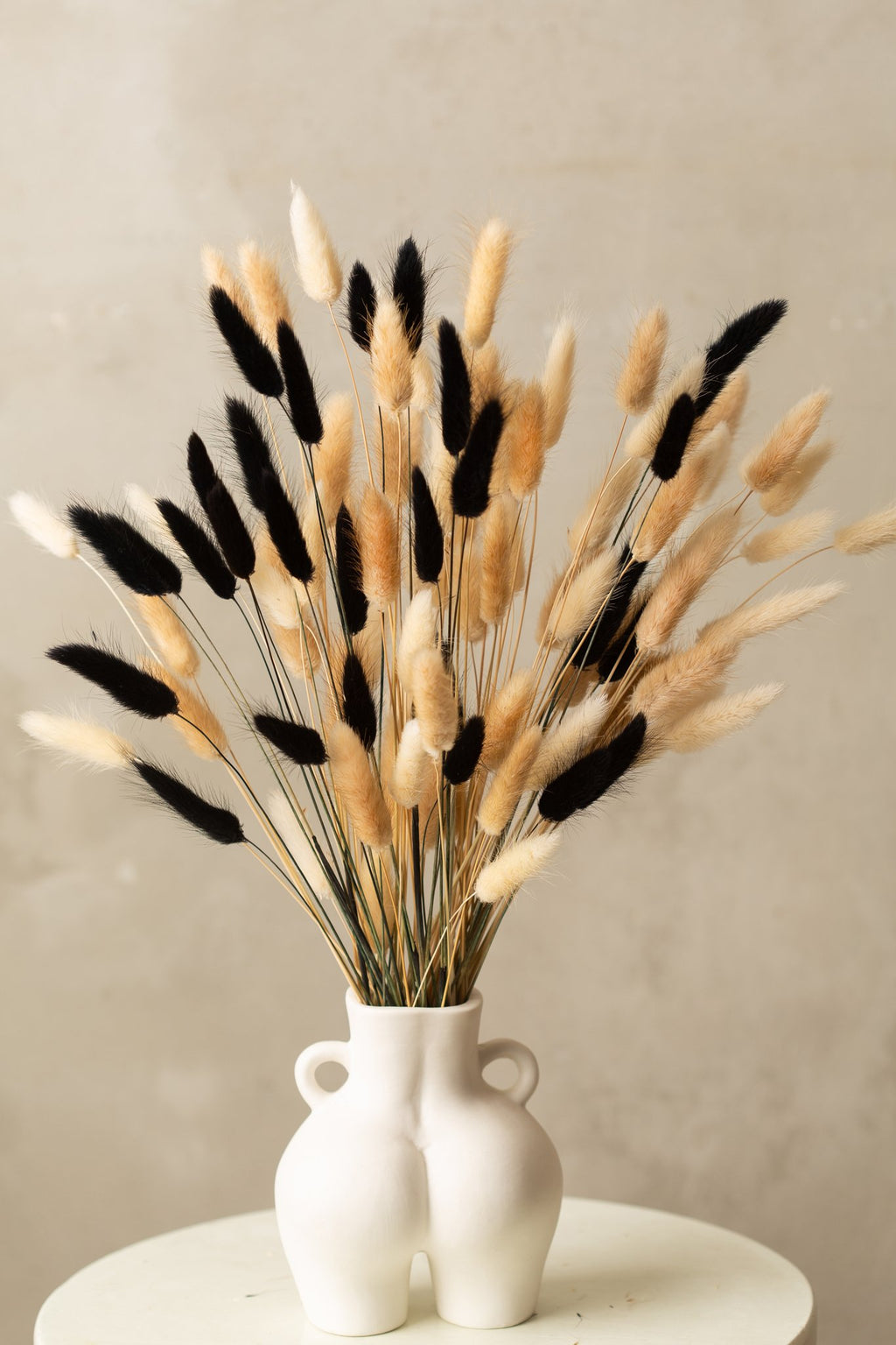 Bunny tails pampas grass dried flowers in black, natural brown, and white, arranged in a white vase.