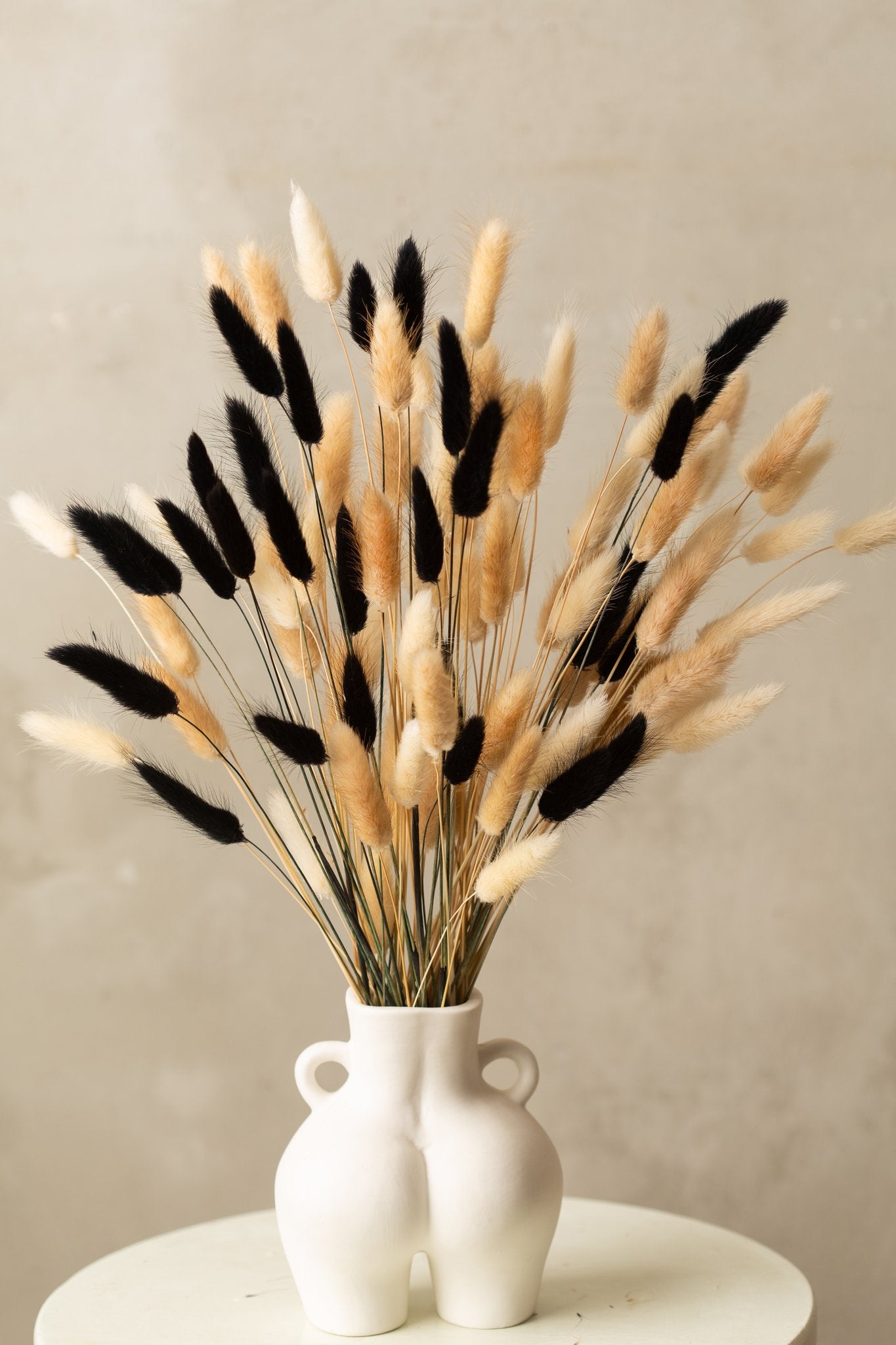 Bunny tails pampas grass dried flowers in black, natural brown, and white, arranged in a white vase.
