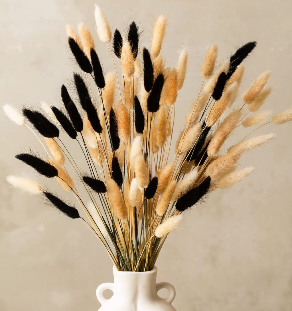 Bouquet of dried bunny tail grass in black, natural brown, and cream colors in a white vase.