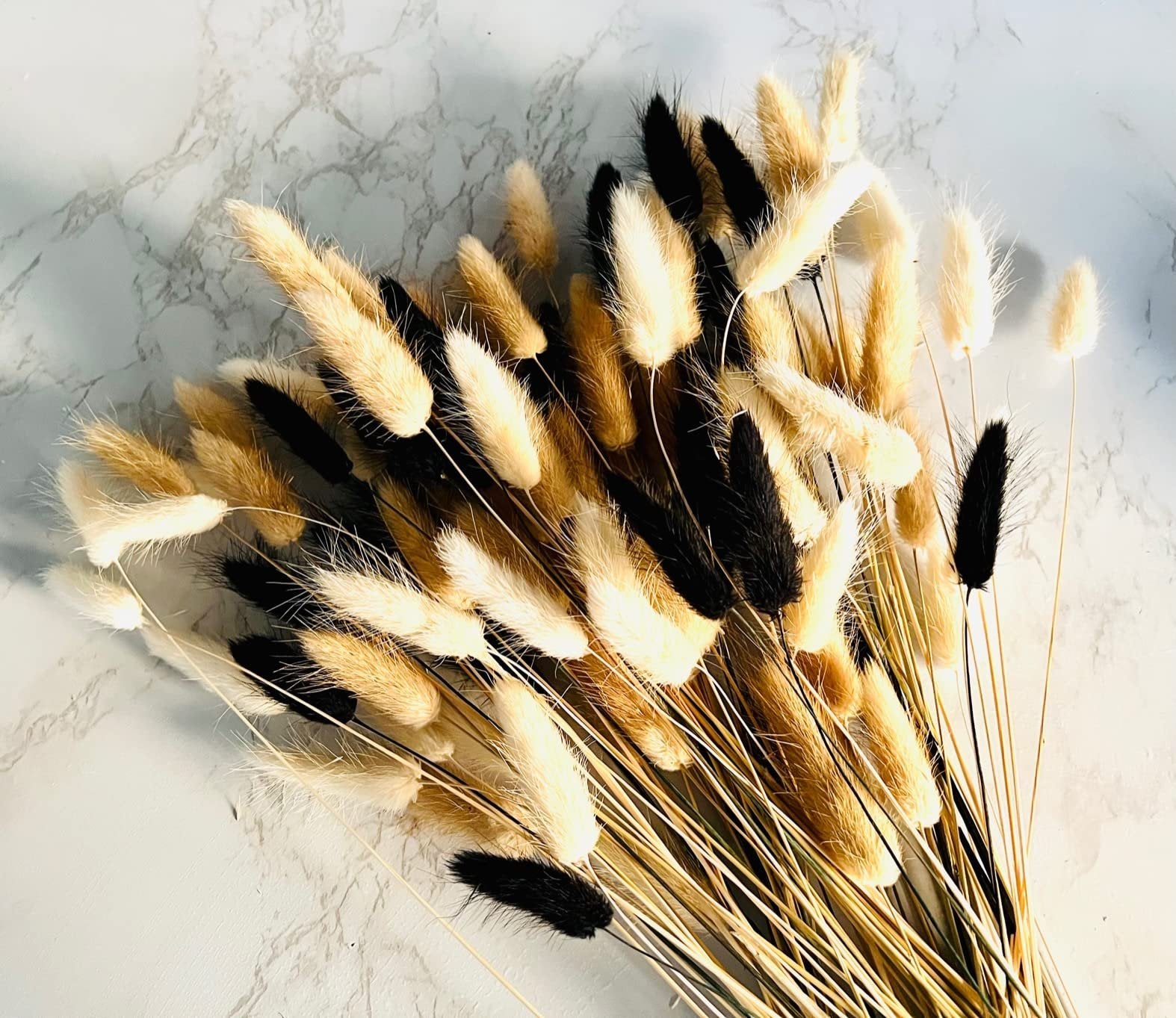 Bunny tails dried flowers in black, white, and natural brown arranged on a marble-patterned surface.