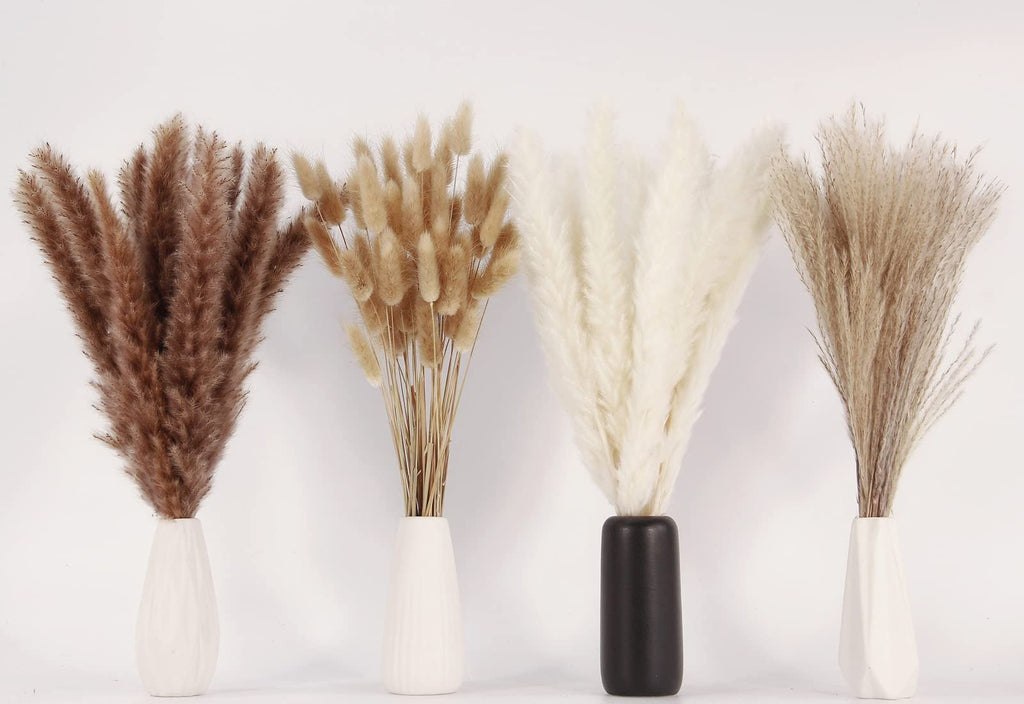 Four vases holding assorted dried pampas grass and bunny tail grass in brown, beige, white, and tan hues.