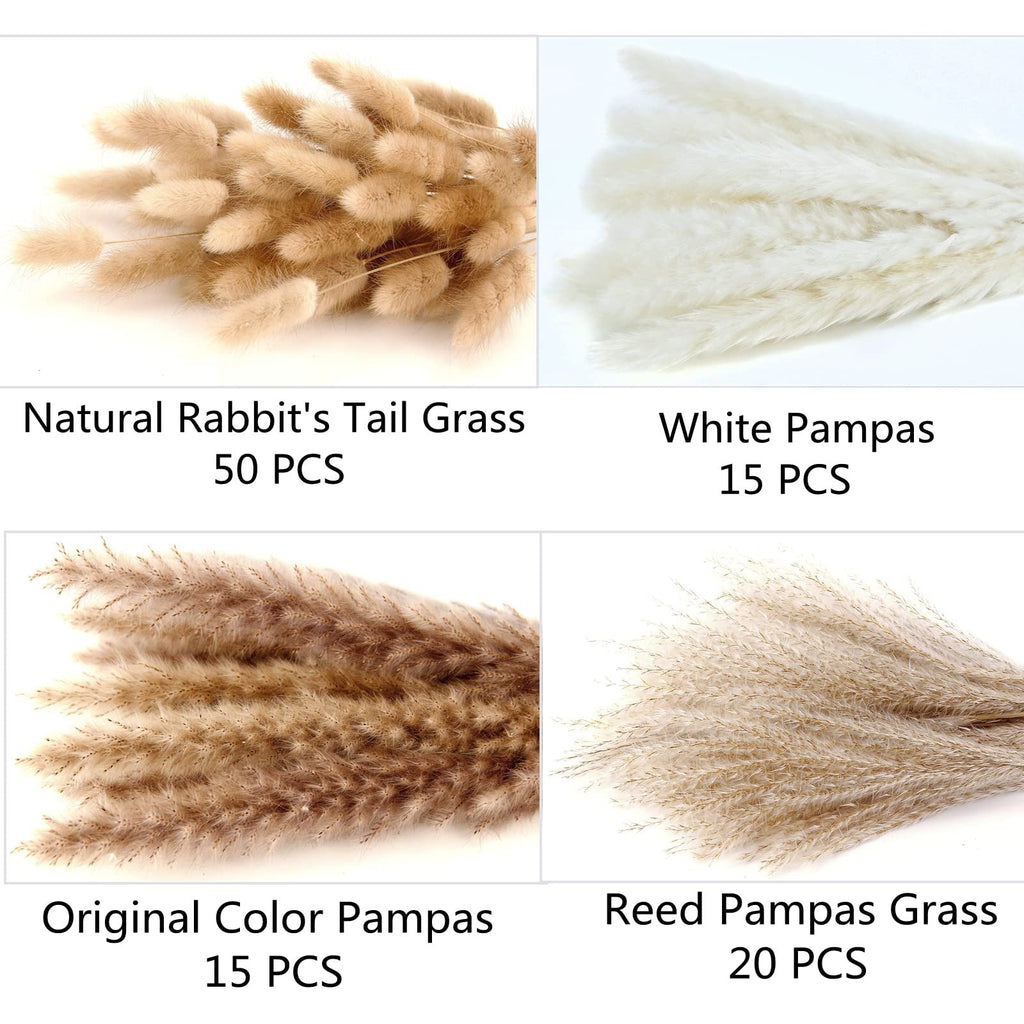 Four arrangements of dried pampas grass and rabbit's tail grass in white, brown, and natural colors.
