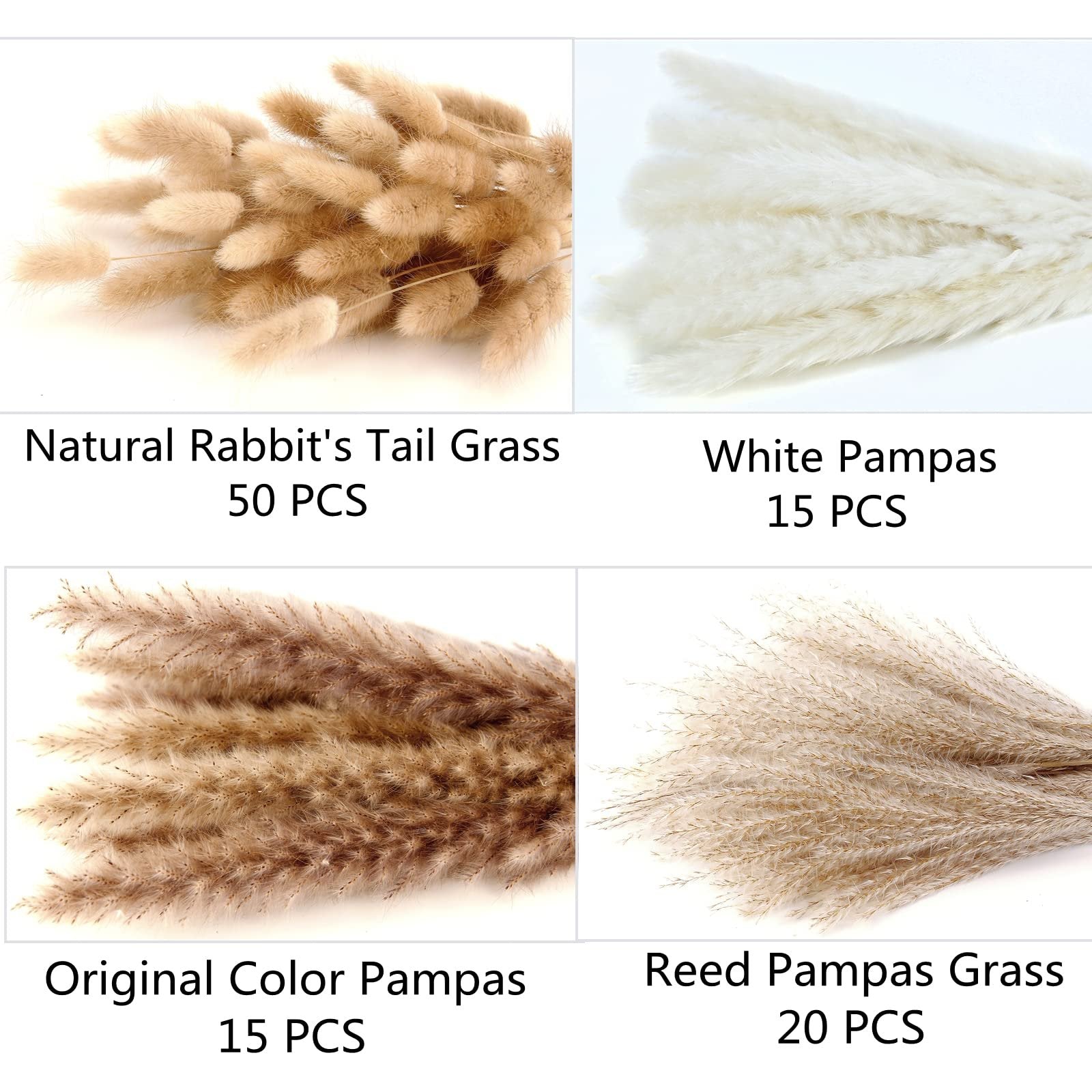 Four arrangements of dried pampas grass and rabbit's tail grass in white, brown, and natural colors.