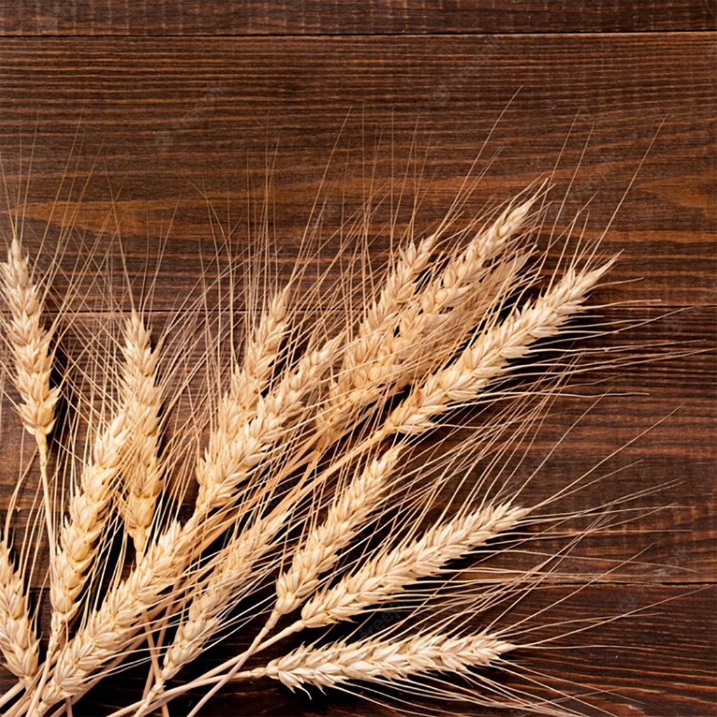 Bundle of dried wheat stalks arranged on a dark wooden background, top-down view.