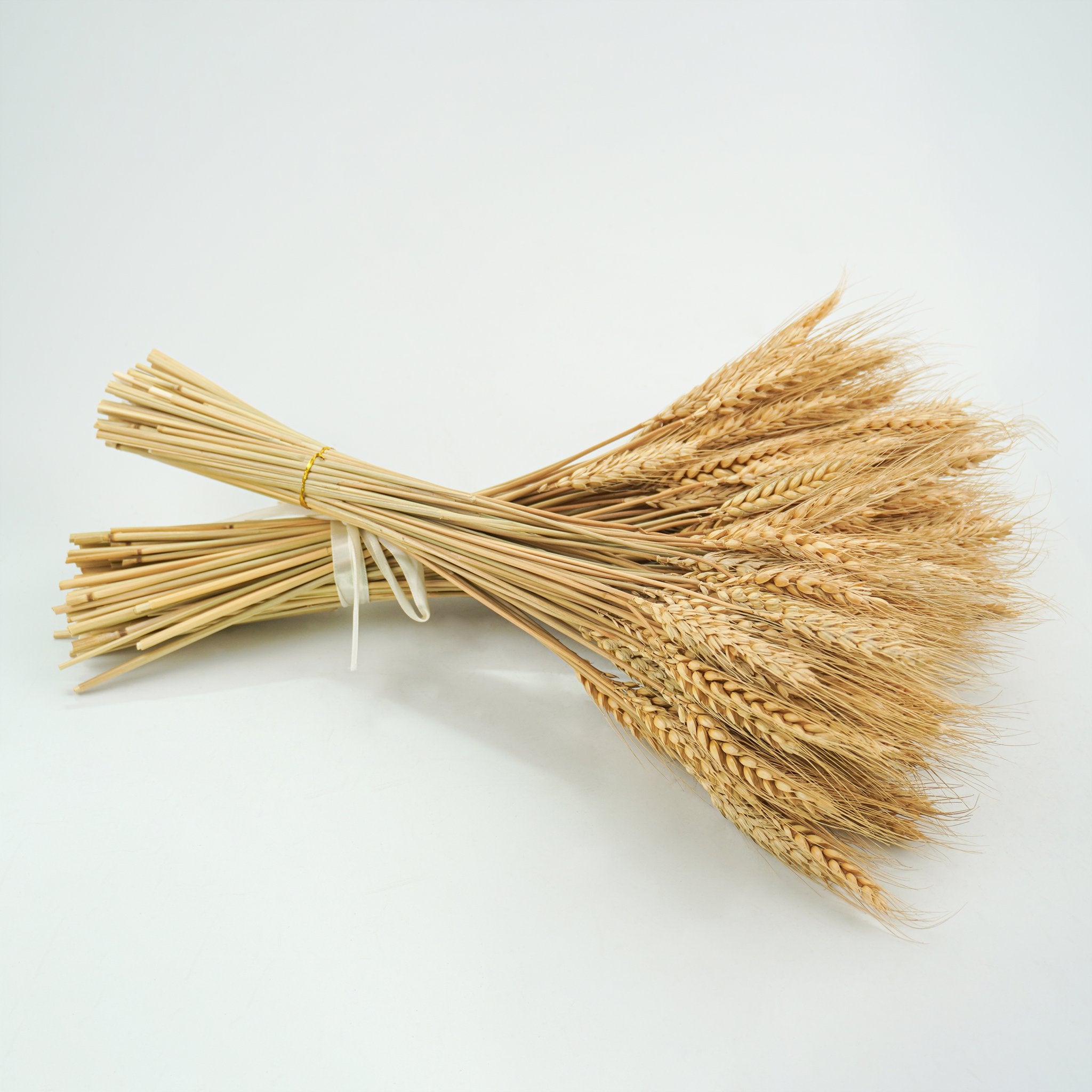 Two bundles of dried wheat stalks tied with white ribbon and gold string, displayed on a white background.