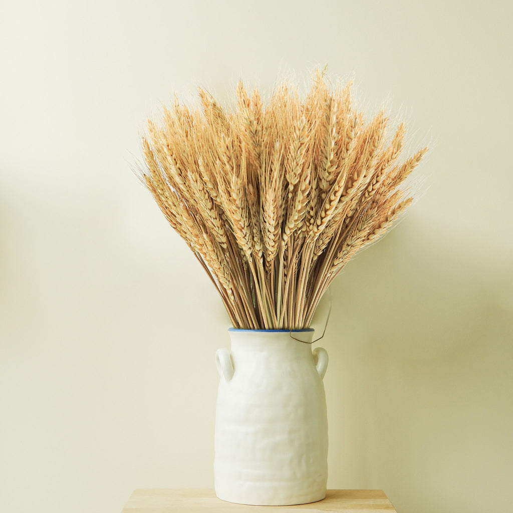 Bunch of dried wheat stalks in a white ceramic vase against a pale yellow background.