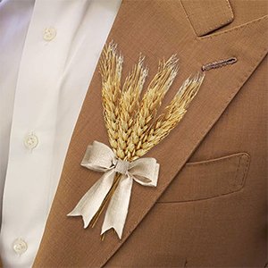 Three dried wheat stalks tied with a beige ribbon and bow, pinned to a brown suit jacket lapel.