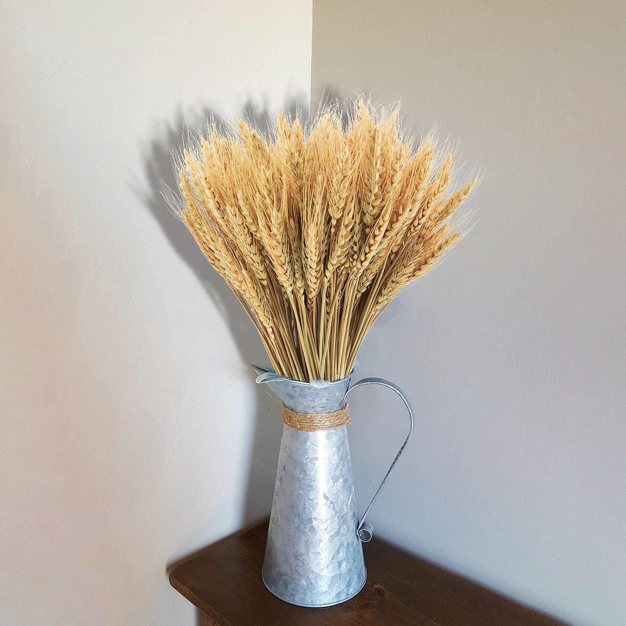 Bunch of dried wheat stalks in a galvanized metal pitcher with twine accent, set against a textured wall.