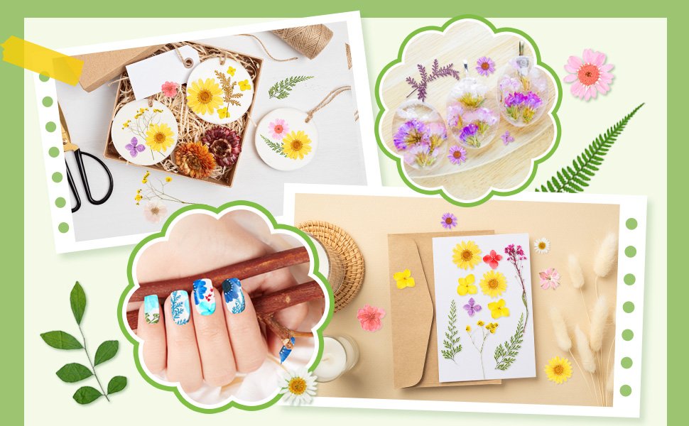 Collage of dried pressed flowers used in crafts like resin jewelry, nail art, and decorative ornaments.