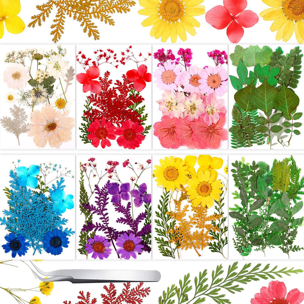 Collage of 109 dried pressed flowers and leaves in various colors including white, red, pink, blue, purple, yellow, and green, with tweezers at the bottom.