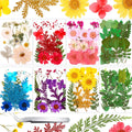 Collage of 109 dried pressed flowers and leaves in various colors including white, red, pink, blue, purple, yellow, and green, with tweezers at the bottom.