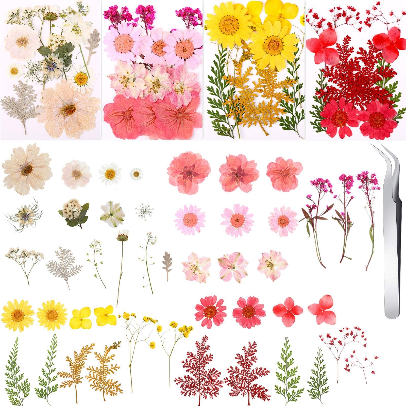 Assortment of 109 dried pressed flowers and leaves in various colors, with tweezers on the right.