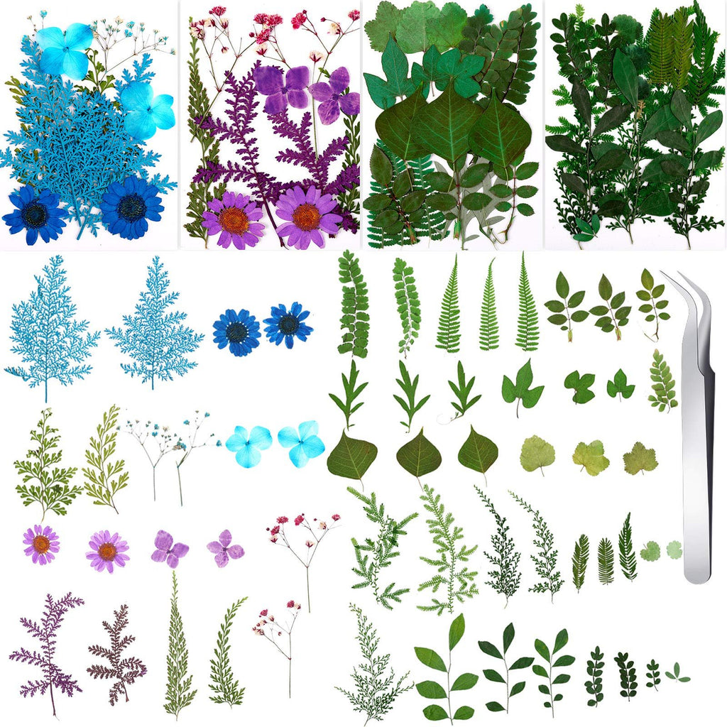 Assortment of dried pressed flowers and leaves in various colors including blue, purple, and green, with tweezers on the right.