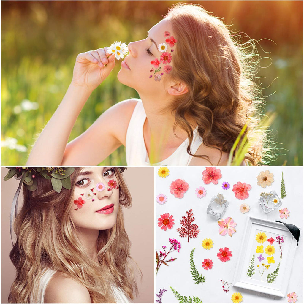 Collage of dried pressed flowers applied to faces and arranged on a white surface with a picture frame.