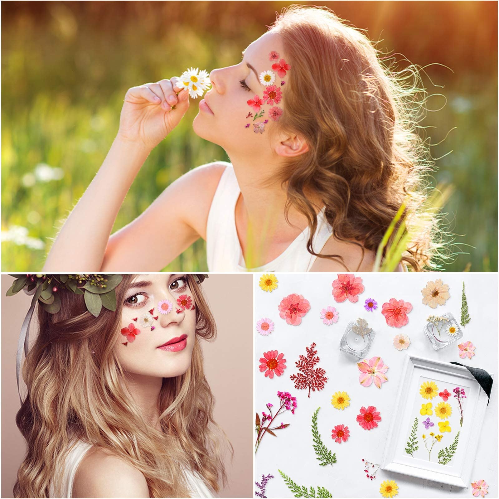 Collage of dried pressed flowers applied to faces and arranged on a white surface with a picture frame.