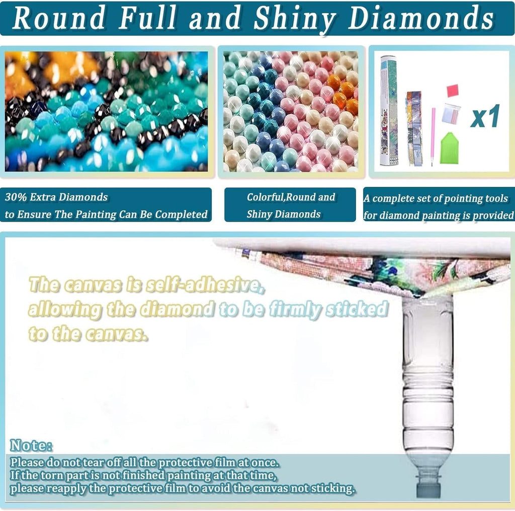 Diamond painting kit showing close-ups of colorful diamonds and tools, with text explaining features and notes.