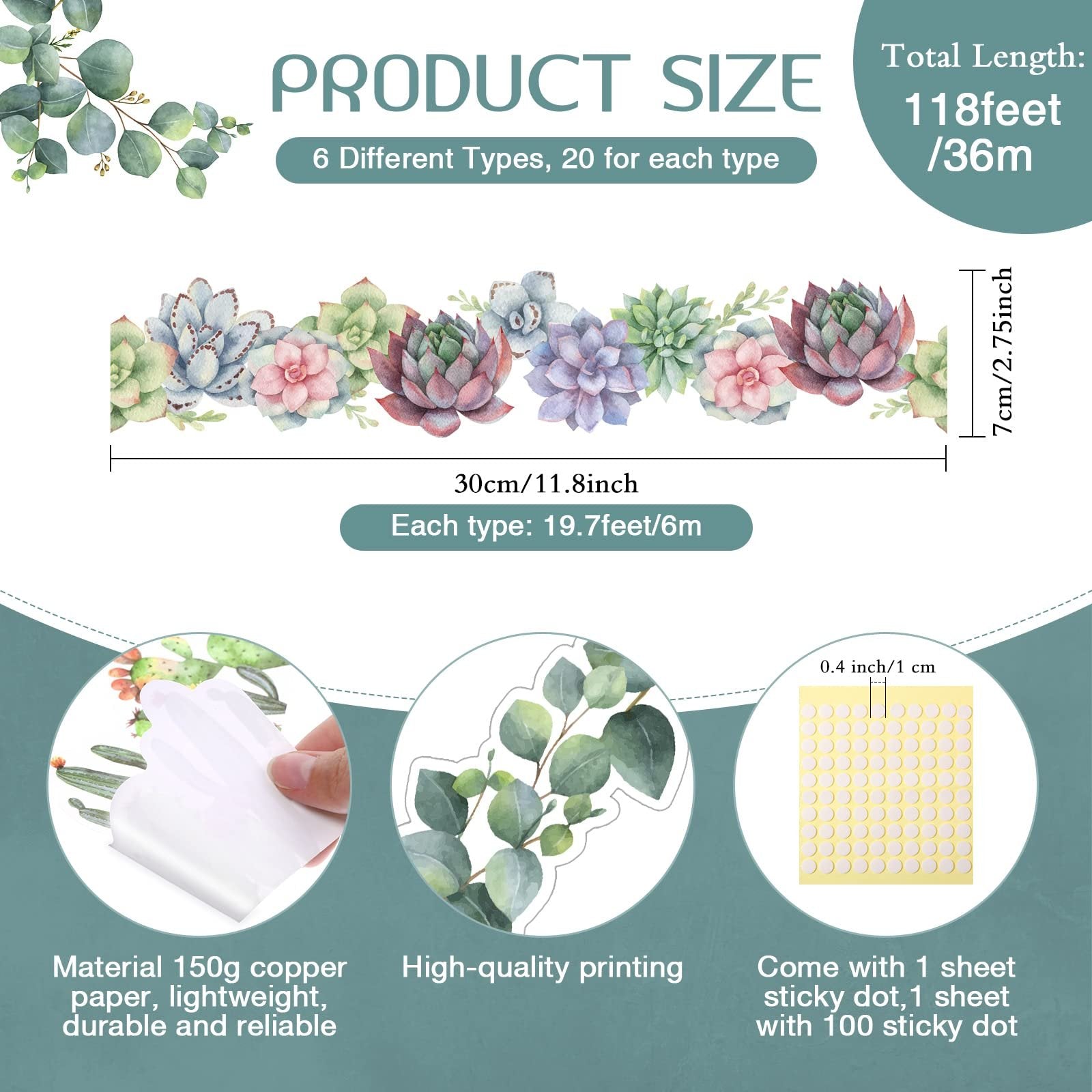 Bulletin board border trim with succulent and eucalyptus designs, showing product size and material details.