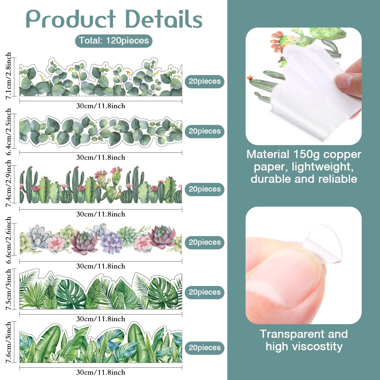 Six styles of decorative bulletin board border trim with botanical and succulent designs, shown with dimensions and piece counts.