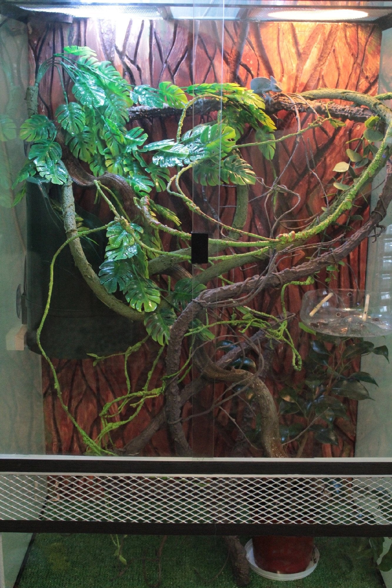 Artificial green tree branch vine with large leaves and a small lizard perched on a branch inside a terrarium.