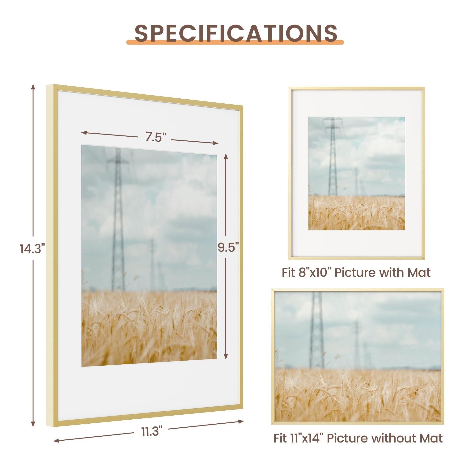 Gold aluminum picture frame with dimensions and matting options shown, featuring a wheat field image.